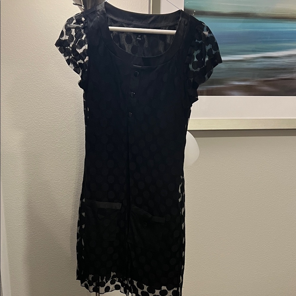 Enfocus Studio Black Sheer Polka Dot Mini Dress